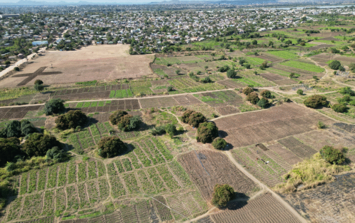 Untitled design (12)