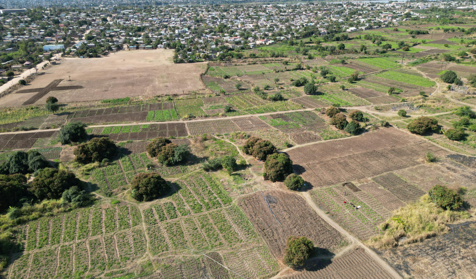 Untitled design (12)