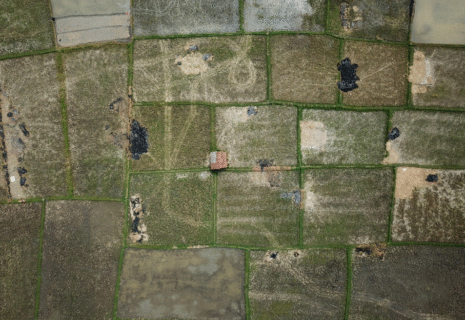 Untitled design (14)